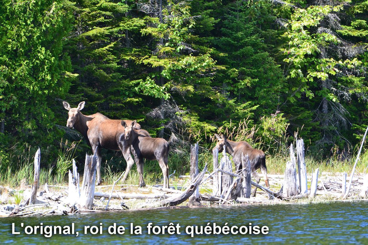 Club Tadoussac Villa Eksteriør bilde